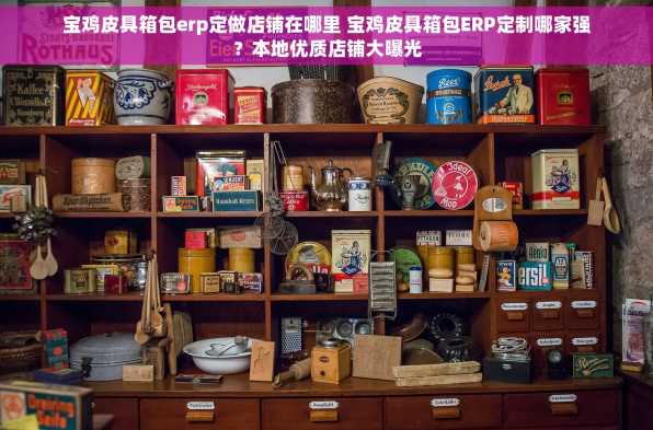 宝鸡皮具箱包erp定做店铺在哪里 宝鸡皮具箱包ERP定制哪家强？本地优质店铺大曝光
