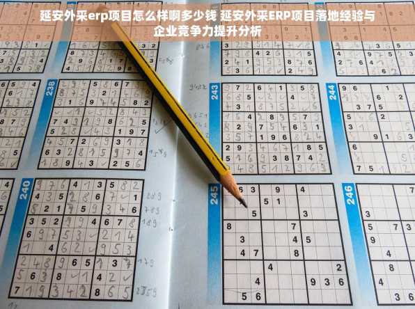 延安外采erp项目怎么样啊多少钱 延安外采ERP项目落地经验与企业竞争力提升分析