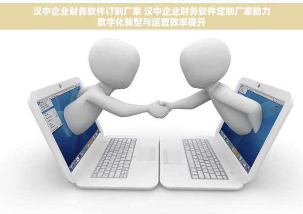 汉中企业财务软件订制厂家 汉中企业财务软件定制厂家助力数字化转型与运营效率提升