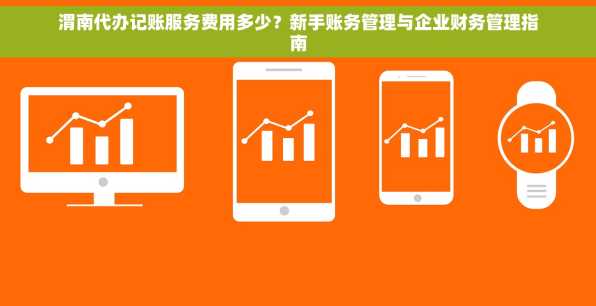 渭南代办记账服务费用多少？新手账务管理与企业财务管理指南