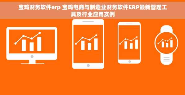 宝鸡财务软件erp 宝鸡电商与制造业财务软件ERP最新管理工具及行业应用实例