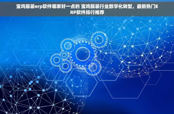 宝鸡服装erp软件哪家好一点的 宝鸡服装行业数字化转型，最新热门ERP软件排行推荐