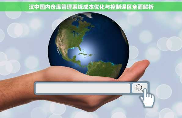 汉中国内仓库管理系统成本优化与控制误区全面解析