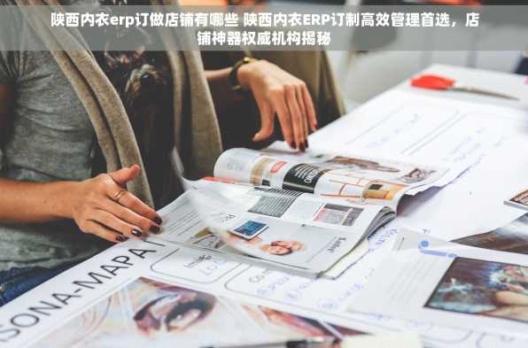 陕西内衣erp订做店铺有哪些 陕西内衣ERP订制高效管理首选，店铺神器权威机构揭秘