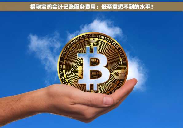 揭秘宝鸡会计记账服务费用：低至意想不到的水平！