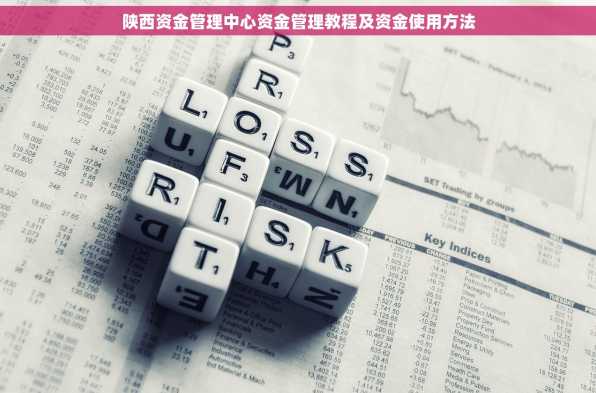 陕西资金管理中心资金管理教程及资金使用方法