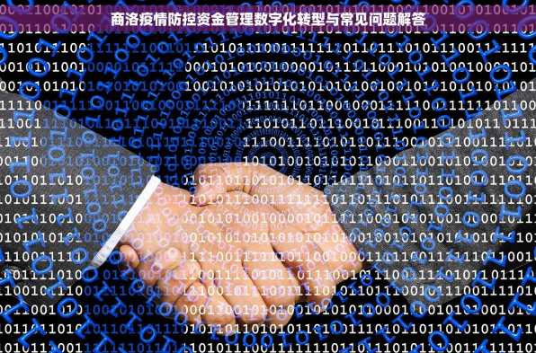 商洛疫情防控资金管理数字化转型与常见问题解答
