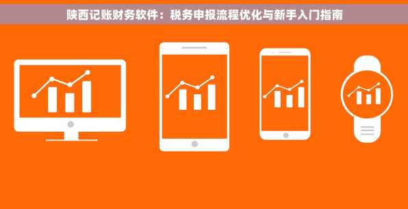 陕西记账财务软件：税务申报流程优化与新手入门指南