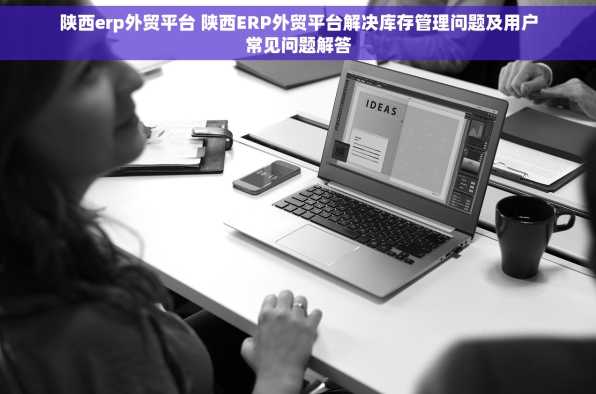 陕西erp外贸平台 陕西ERP外贸平台解决库存管理问题及用户常见问题解答