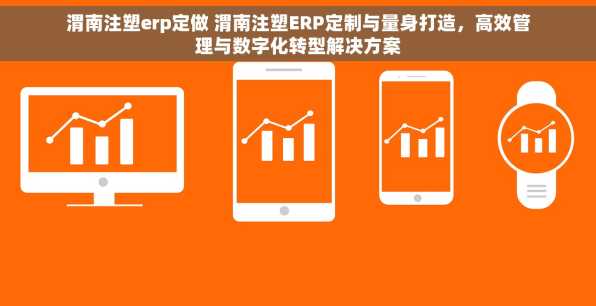 渭南注塑erp定做 渭南注塑ERP定制与量身打造，高效管理与数字化转型解决方案