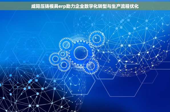 咸阳压铸模具erp助力企业数字化转型与生产流程优化