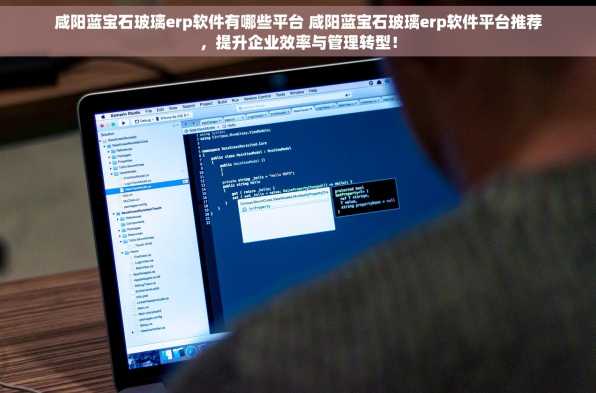 咸阳蓝宝石玻璃erp软件有哪些平台 咸阳蓝宝石玻璃erp软件平台推荐，提升企业效率与管理转型！