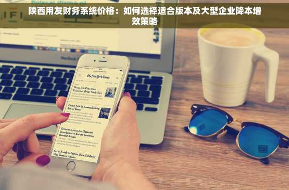 陕西用友财务系统价格：如何选择适合版本及大型企业降本增效策略