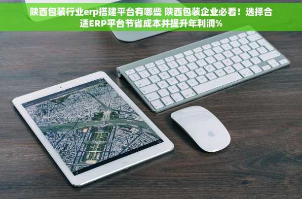 陕西包装行业erp搭建平台有哪些 陕西包装企业必看！选择合适ERP平台节省成本并提升年利润%