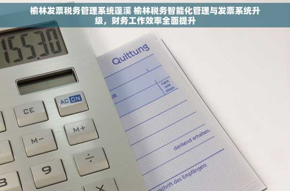 榆林发票税务管理系统蓬溪 榆林税务智能化管理与发票系统升级，财务工作效率全面提升