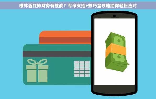 榆林西红柿财务有挑战？专家支招+技巧全攻略助你轻松应对