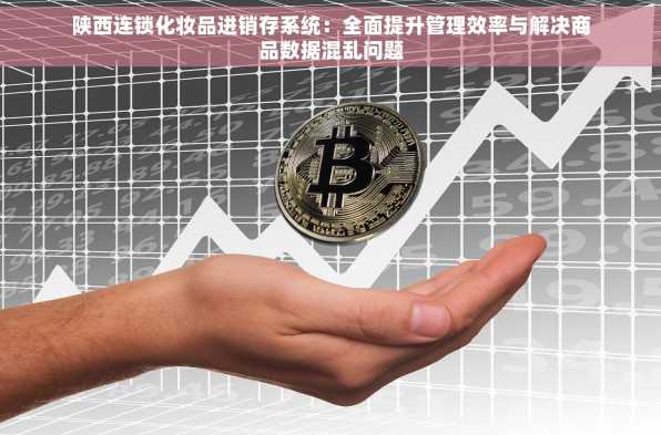 陕西连锁化妆品进销存系统：全面提升管理效率与解决商品数据混乱问题