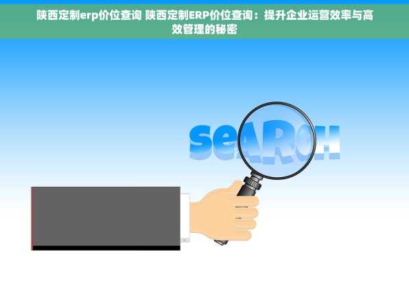 陕西定制erp价位查询 陕西定制ERP价位查询：提升企业运营效率与高效管理的秘密
