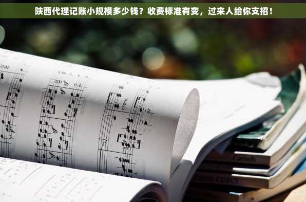 陕西代理记账小规模多少钱？收费标准有变，过来人给你支招！