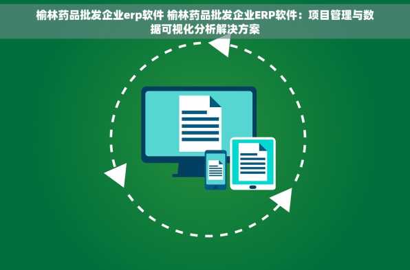 榆林药品批发企业erp软件 榆林药品批发企业ERP软件：项目管理与数据可视化分析解决方案
