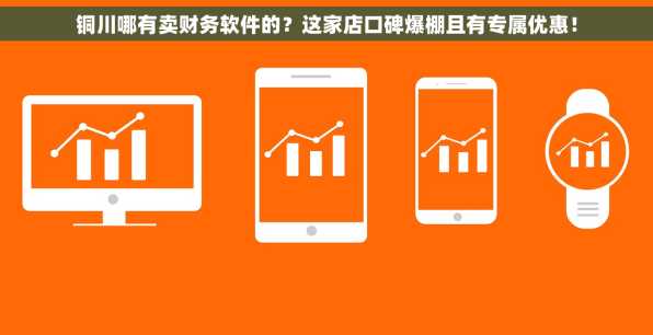 铜川哪有卖财务软件的？这家店口碑爆棚且有专属优惠！