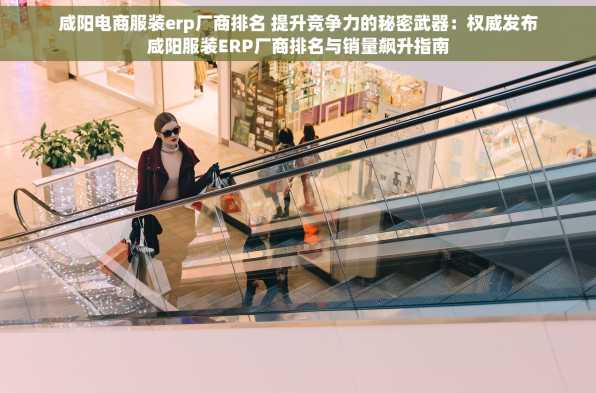 咸阳电商服装erp厂商排名 提升竞争力的秘密武器：权威发布咸阳服装ERP厂商排名与销量飙升指南