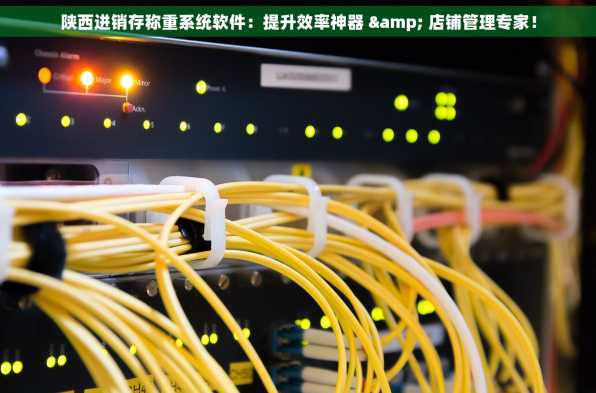 陕西进销存称重系统软件：提升效率神器 & 店铺管理专家！