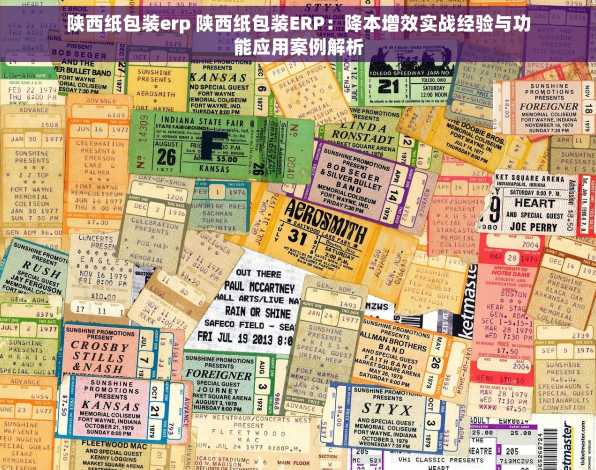 陕西纸包装erp 陕西纸包装ERP：降本增效实战经验与功能应用案例解析