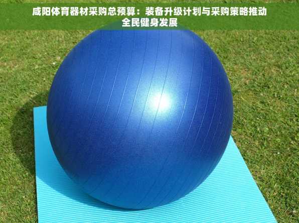 咸阳体育器材采购总预算：装备升级计划与采购策略推动全民健身发展