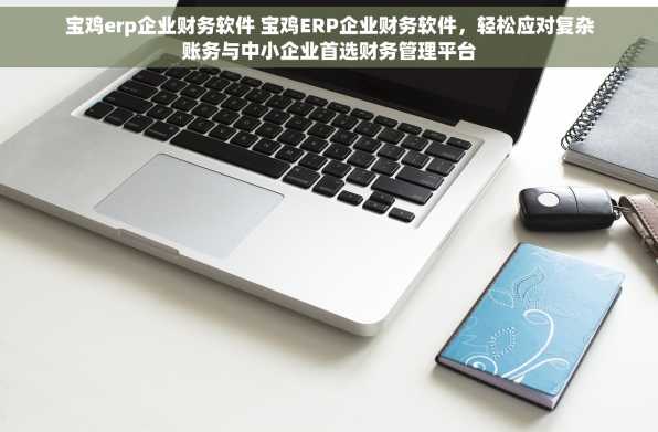 宝鸡erp企业财务软件 宝鸡ERP企业财务软件，轻松应对复杂账务与中小企业首选财务管理平台