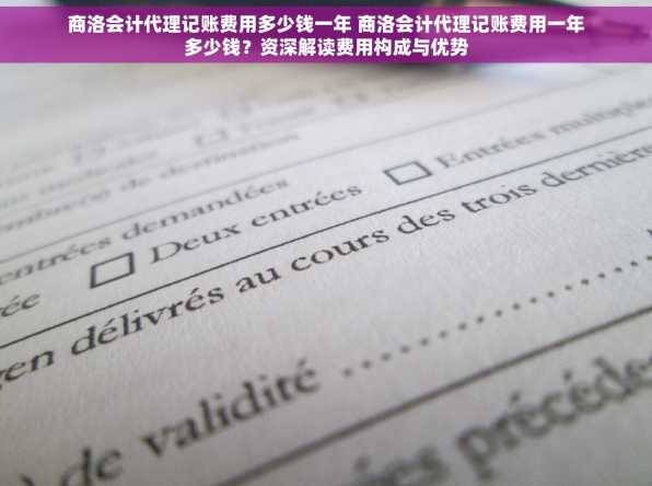 商洛会计代理记账费用多少钱一年 商洛会计代理记账费用一年多少钱？资深解读费用构成与优势