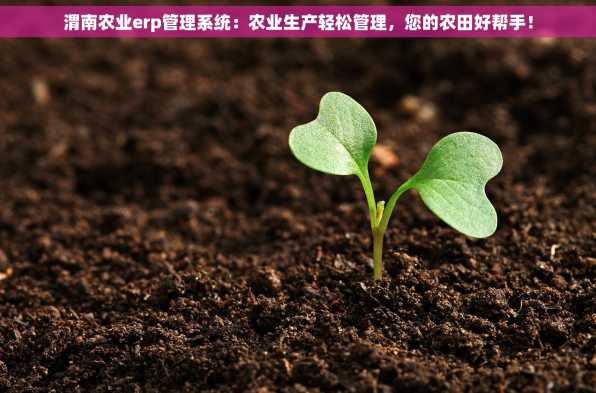 渭南农业erp管理系统：农业生产轻松管理，您的农田好帮手！