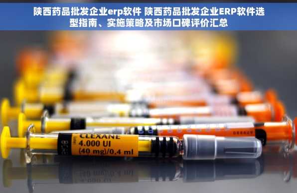 陕西药品批发企业erp软件 陕西药品批发企业ERP软件选型指南、实施策略及市场口碑评价汇总