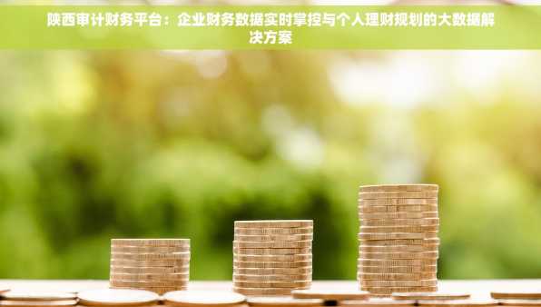 陕西审计财务平台：企业财务数据实时掌控与个人理财规划的大数据解决方案