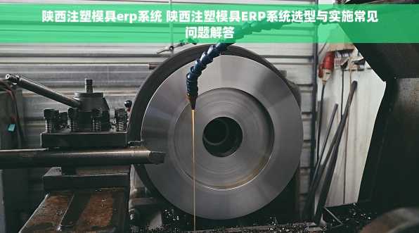 陕西注塑模具erp系统 陕西注塑模具ERP系统选型与实施常见问题解答