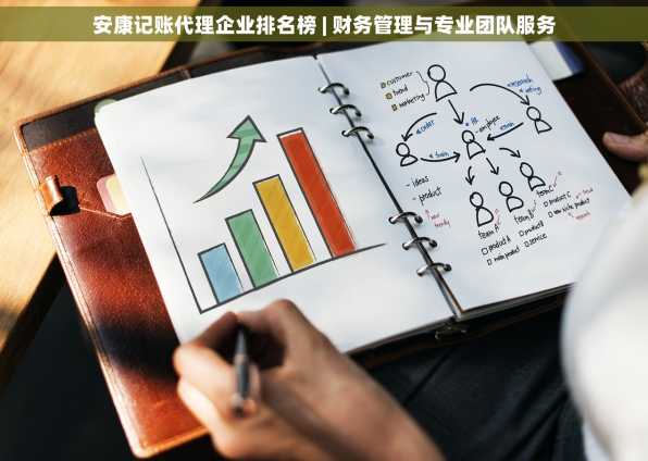 安康记账代理企业排名榜 | 财务管理与专业团队服务