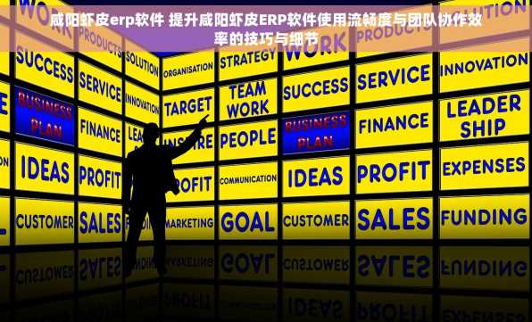 咸阳虾皮erp软件 提升咸阳虾皮ERP软件使用流畅度与团队协作效率的技巧与细节