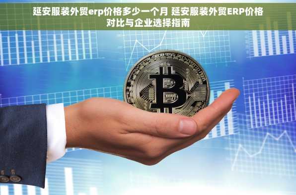 延安服装外贸erp价格多少一个月 延安服装外贸ERP价格对比与企业选择指南