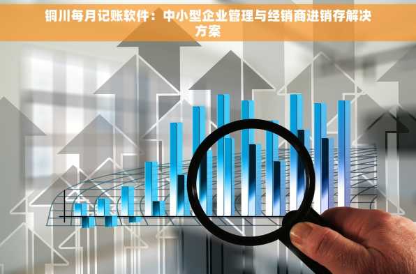 铜川每月记账软件：中小型企业管理与经销商进销存解决方案