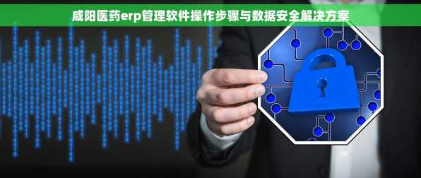 咸阳医药erp管理软件操作步骤与数据安全解决方案