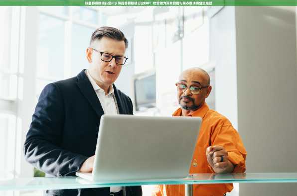 陕西舒霖眼镜行业erp 陕西舒霖眼镜行业ERP：优势助力高效管理与核心解决资金流难题