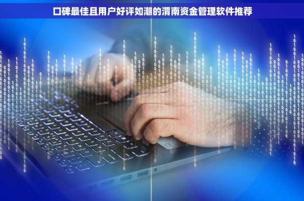 口碑最佳且用户好评如潮的渭南资金管理软件推荐