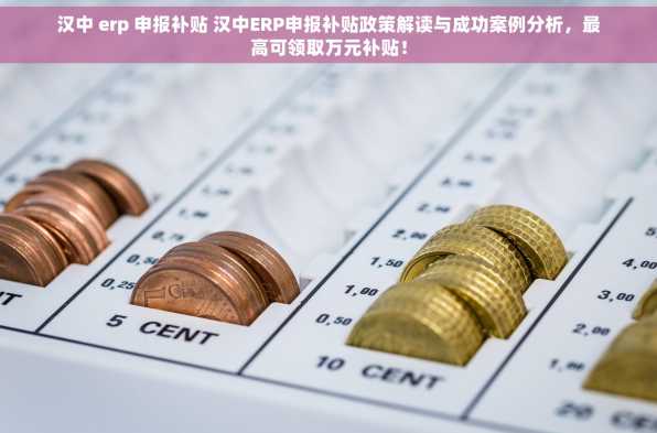 汉中 erp 申报补贴 汉中ERP申报补贴政策解读与成功案例分析，最高可领取万元补贴！