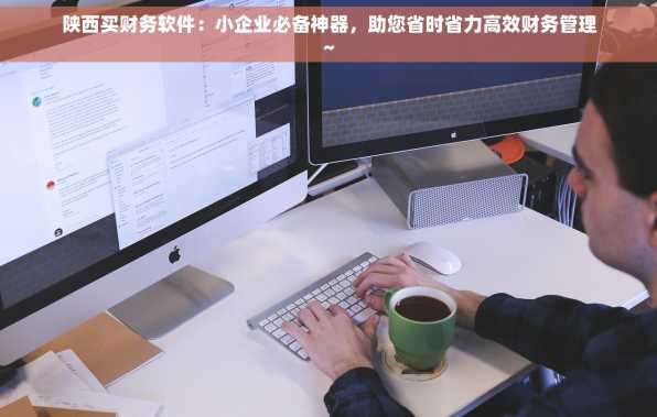 陕西买财务软件：小企业必备神器，助您省时省力高效财务管理~