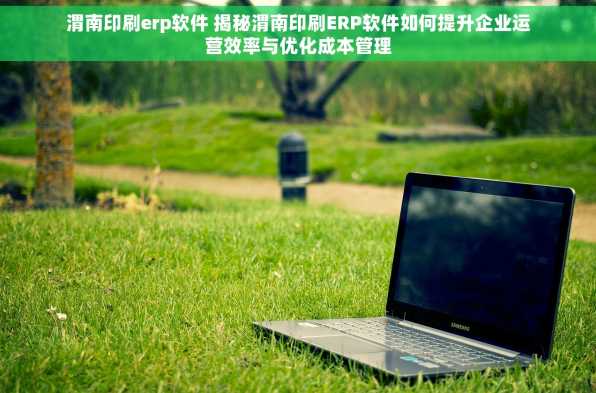 渭南印刷erp软件 揭秘渭南印刷ERP软件如何提升企业运营效率与优化成本管理
