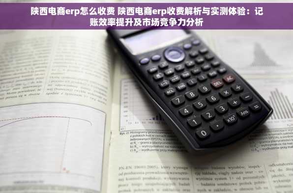 陕西电商erp怎么收费 陕西电商erp收费解析与实测体验：记账效率提升及市场竞争力分析