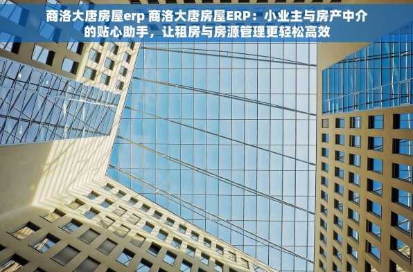 商洛大唐房屋erp 商洛大唐房屋ERP：小业主与房产中介的贴心助手，让租房与房源管理更轻松高效