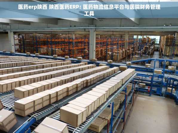 医药erp陕西 陕西医药ERP: 医药物流信息平台与医院财务管理工具