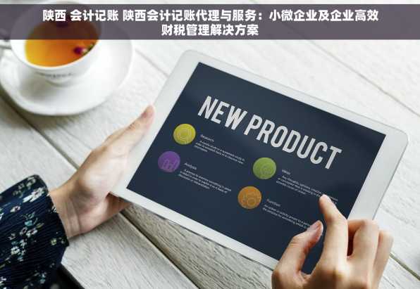 陕西 会计记账 陕西会计记账代理与服务：小微企业及企业高效财税管理解决方案