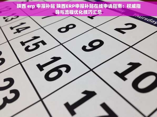 陕西 erp 申报补贴 陕西ERP申报补贴在线申请指南：权威指导与流程优化技巧汇总